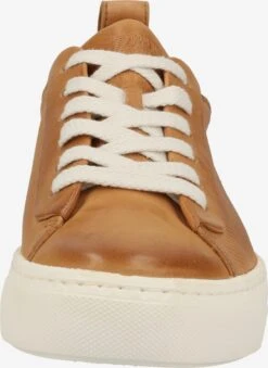 Paul Green Fashion Sneakers Sneakers Laag Dames Cognac 12 Paul Green Fashion Sneakers Sneakers Laag Dames Cognac -Damesschoenen Winkel 456842550fe690250dd37828d74182f8