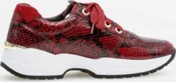 Gabor Fashion Sneakers Sneakers Laag Dames Rood 10 Gabor Fashion Sneakers Sneakers Laag Dames Rood -Damesschoenen Winkel 5502c58144197e315fda2d178c4655d1