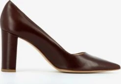 Klassieke Pumps Pumps Dames Kastanjebruin 9 Klassieke Pumps Pumps Dames Kastanjebruin -Damesschoenen Winkel 5e99aec109f783303b553d1580dd7a8c