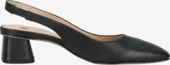 HÖGL Pumps & Hakken Slingpumps Kat Dames Zwart -Damesschoenen Winkel 5ed48f19076d508488f282753ebbfb02