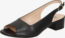 Pumps & Hakken Slingpumps Zippora Dames Zwart