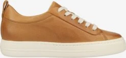 Paul Green Fashion Sneakers Sneakers Laag Dames Cognac 11 Paul Green Fashion Sneakers Sneakers Laag Dames Cognac -Damesschoenen Winkel 8270c85243f8ba176adf5482f2c181d5