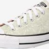 Converse Skate Sneakers Sneakers Laag Chuck Taylor All Star Dames Lichtgroen