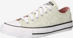 Converse Skate Sneakers Sneakers Laag Chuck Taylor All Star Dames Lichtgroen