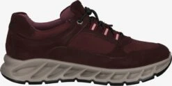 IGI&CO Casual Sneakers Sneakers Laag Dames Bordeaux 12 IGI&CO Casual Sneakers Sneakers Laag Dames Bordeaux -Damesschoenen Winkel afd4e17e82e7505d6441bb37576287a7