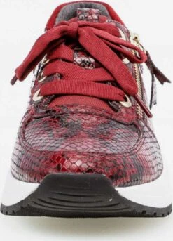 Gabor Fashion Sneakers Sneakers Laag Dames Rood 11 Gabor Fashion Sneakers Sneakers Laag Dames Rood -Damesschoenen Winkel da051888b743aae51aeed71714c42078