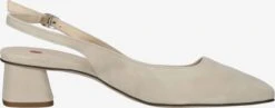 HÖGL Pumps & Hakken Slingpumps Dames Beige -Damesschoenen Winkel f14141280adc74b7524df354415e40bb